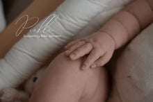 Load image into Gallery viewer, PICKLE - (Sold Out)