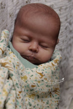 Load image into Gallery viewer, Christopher - In Stock