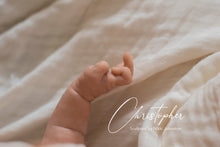 Load image into Gallery viewer, Christopher - In Stock