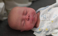 Load image into Gallery viewer, Christopher - In Stock