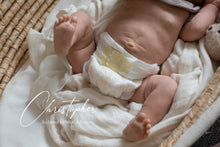 Load image into Gallery viewer, Christopher - In Stock