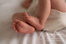 Load image into Gallery viewer, Christopher - In Stock