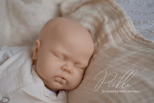 Load image into Gallery viewer, PICKLE - (Sold Out)