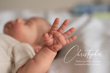 Load image into Gallery viewer, Christopher - In Stock