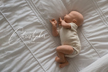 Load image into Gallery viewer, Christopher - In Stock