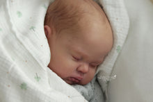 Load image into Gallery viewer, PICKLE - (Sold Out)