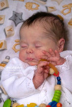 Load image into Gallery viewer, Christopher - In Stock