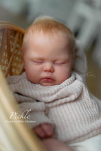 Load image into Gallery viewer, PICKLE - (Sold Out)