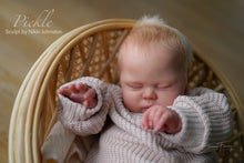 Load image into Gallery viewer, PICKLE - (Sold Out)