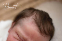 Load image into Gallery viewer, Intermediate Rooting (Level 2 - Coming Soon)