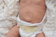 Load image into Gallery viewer, Delilah Belly Plate (Temporarily Out Of Stock)
