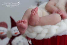 Load image into Gallery viewer, Isabella (Sold Out)