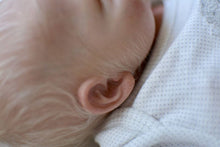 Load image into Gallery viewer, Online Tutorials