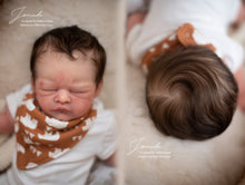 Load image into Gallery viewer, Online Tutorials