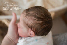 Load image into Gallery viewer, Beginners Rooting (Level 1 - Coming Soon)