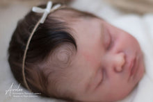 Load image into Gallery viewer, Online Tutorials