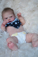 Load image into Gallery viewer, Robin, Awake (Sold Out)