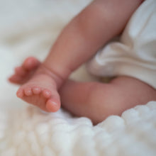 Load image into Gallery viewer, Vincent - (Sold Out)