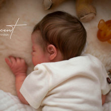 Load image into Gallery viewer, Vincent - (Sold Out)