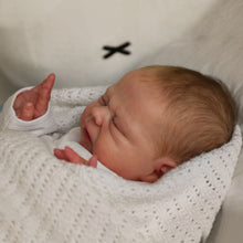 Load image into Gallery viewer, Vincent - (Sold Out)