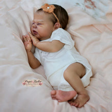 Load image into Gallery viewer, Vincent - (Sold Out)