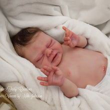 Load image into Gallery viewer, Vincent - (Sold Out)