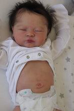 Load image into Gallery viewer, 18-21” Belly Plate - (Temporarily Out Of Stock)