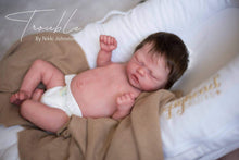 Load image into Gallery viewer, 18-21” Belly Plate - (Temporarily Out Of Stock)