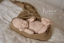 Load image into Gallery viewer, 18-21” Belly Plate - (Temporarily Out Of Stock)