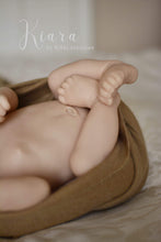 Load image into Gallery viewer, 18-21” Belly Plate - (Temporarily Out Of Stock)