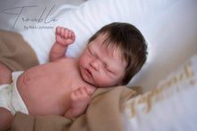 Load image into Gallery viewer, 18-21” Belly Plate - (Temporarily Out Of Stock)