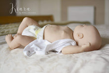 Load image into Gallery viewer, 18-21” Belly Plate - (Temporarily Out Of Stock)