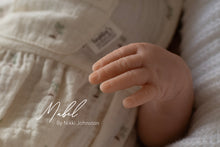 Load image into Gallery viewer, NEW - Mabel - Pre Order 21st-30th June 2026