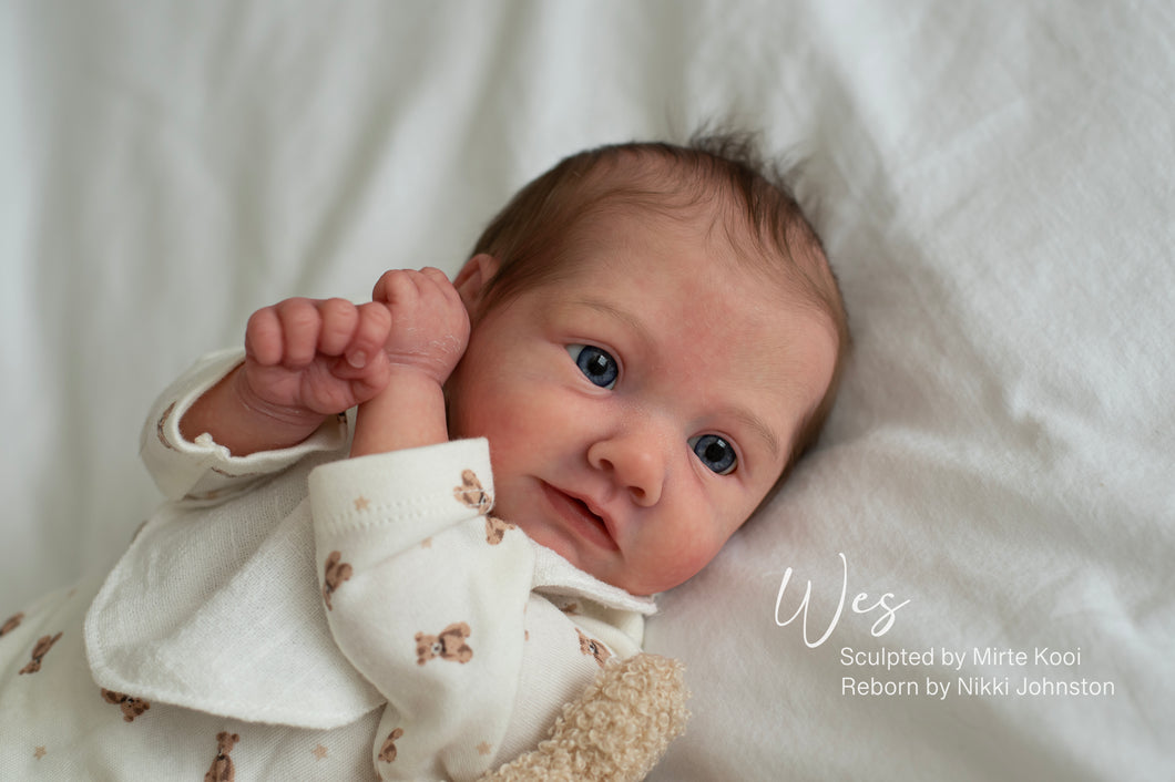 PROTOTYPE Wes Reborn by Nikki Johnston - Sculpted by Mitre Kooi